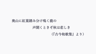 百人一首の恋の歌一覧 文学の話